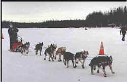 Finishing the 1999 Jr. Iditarod