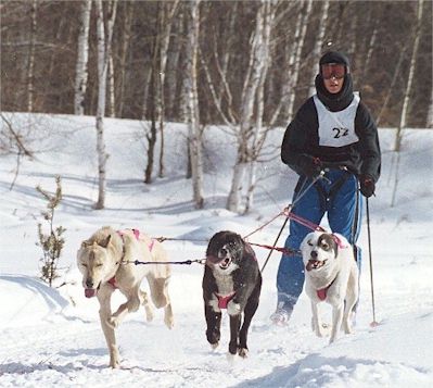 Jarred Stone Skijoring