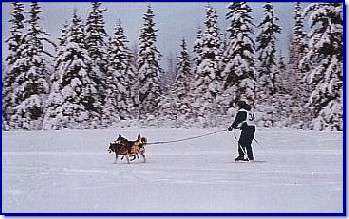 Jessica racing in Anchorage, 1997