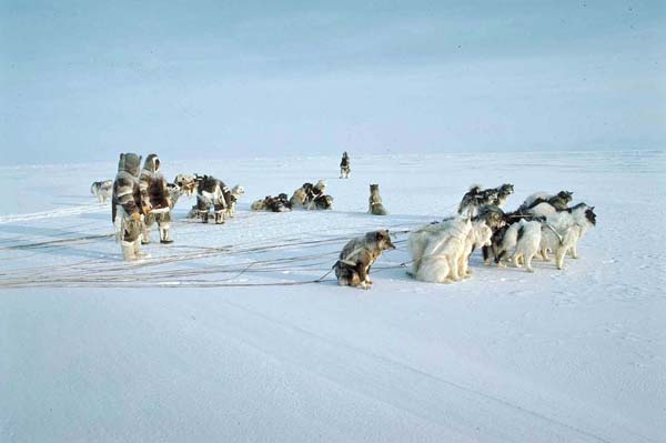 Courtesy Nunavut Tourism