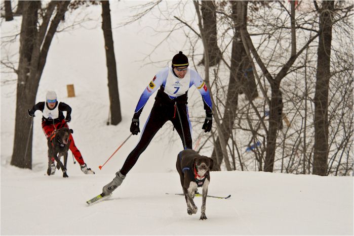 Dallas Johnson Photo : 14K One Dog Champions