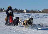 Dr. Kirsten Phillips Photo : 2013 Rosebud Run Sled Dog Classic