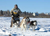 Dr. Kirsten Phillips Photo : 2013 Rosebud Run Sled Dog Classic