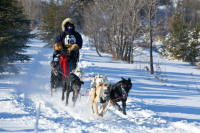 Dr. Kirsten Phillips Photo : 2013 Rosebud Run Sled Dog Classic